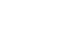 vue